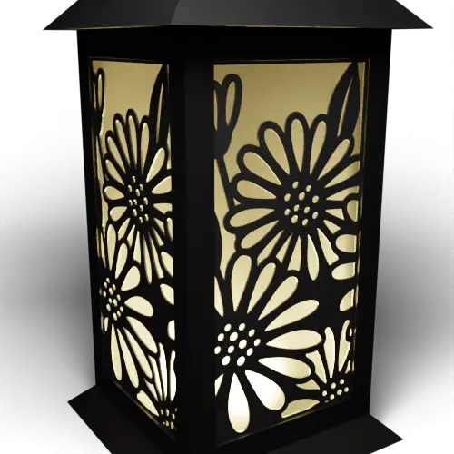 Daisies C