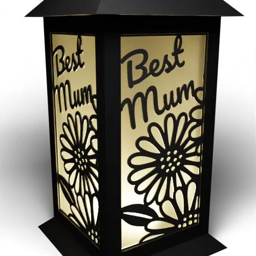 Best Mum Daisies