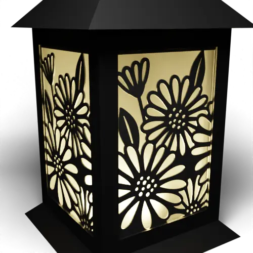 Daisies C