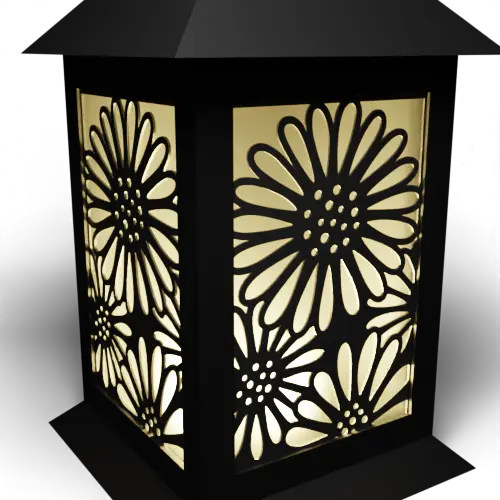 Daisies D