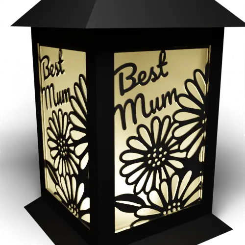 Best Mum Daisies