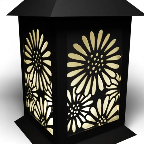 Daisies E