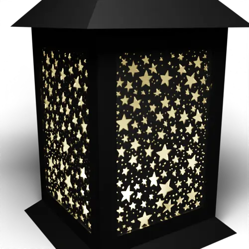 Stars And Snow