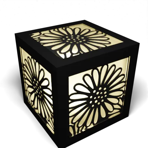 Daisies D