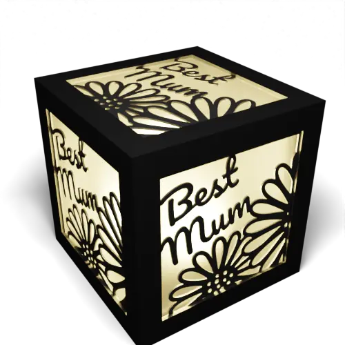 Best Mum Daisies