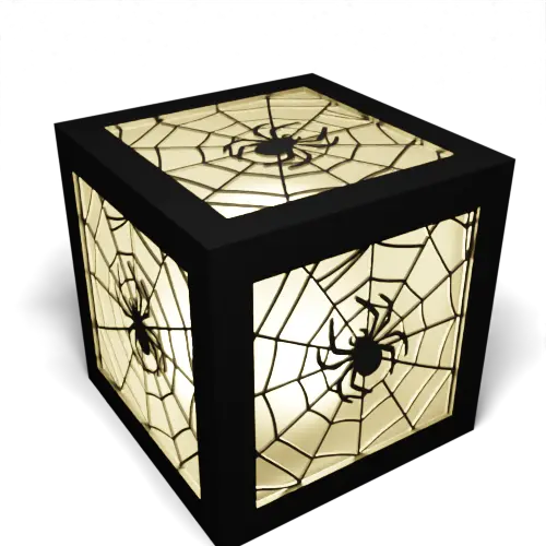 Cob Web and Spider